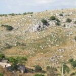 "Murgiano" landscape