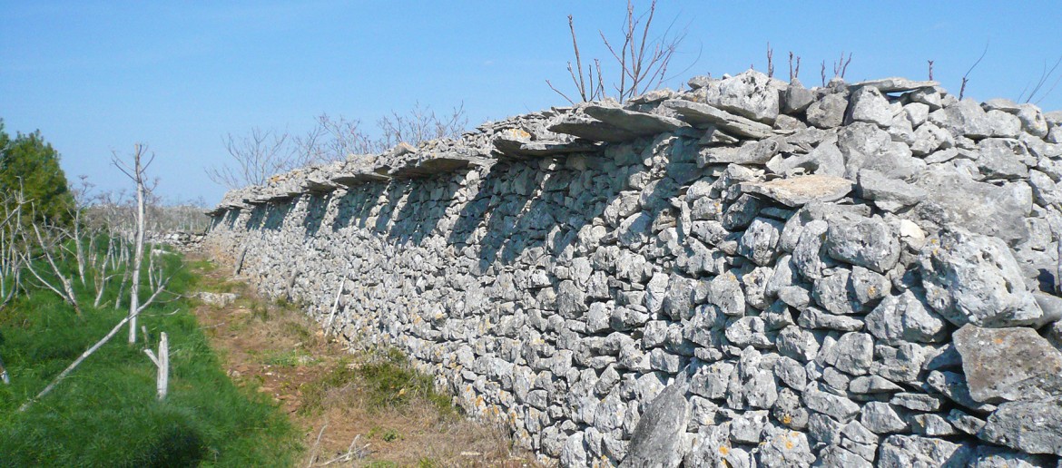 Muro paralupi